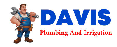 Trusted plumber in CARDIN